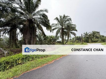 Pontian Agriculture Land For Sale, Near to Tanjong Bin Power Plant, Johor, Pontian
