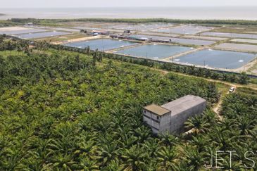 Pekan Tanjung Karang