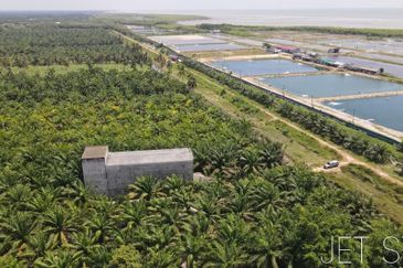 Pekan Tanjung Karang