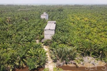 Pekan Tanjung Karang