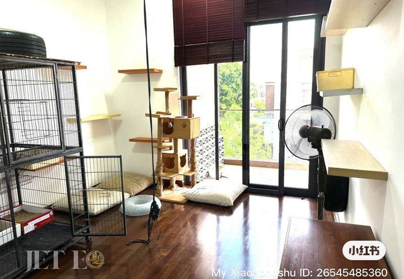 Terraza @ Eco Sanctuary