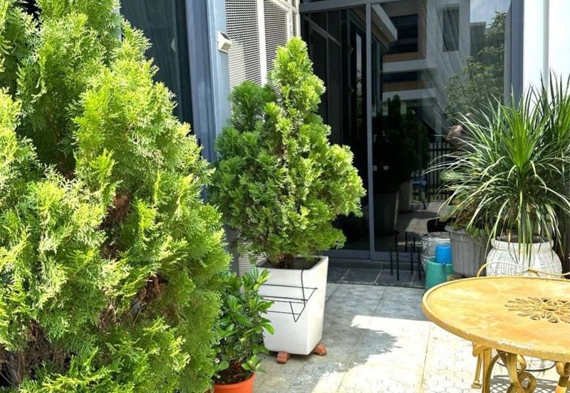 Terraza @ Eco Sanctuary