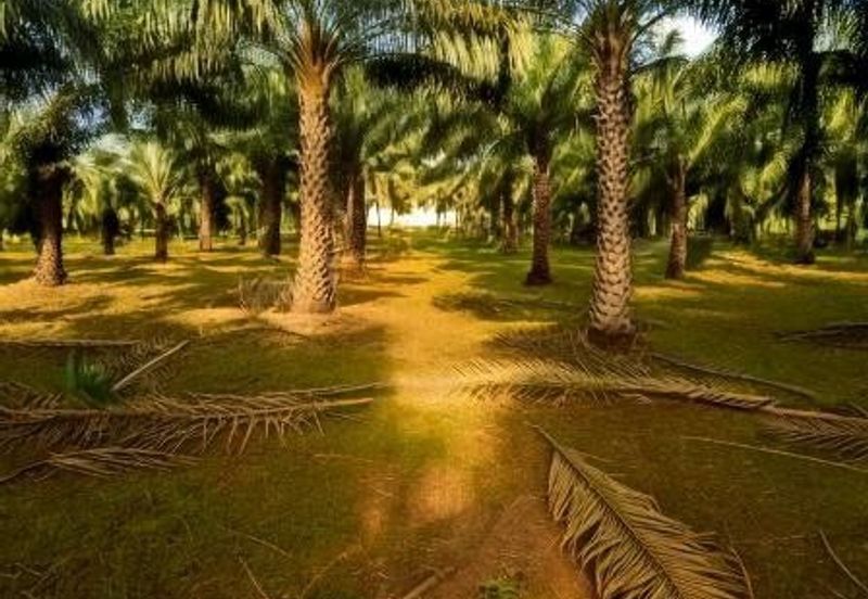 Telok Panglima Garang