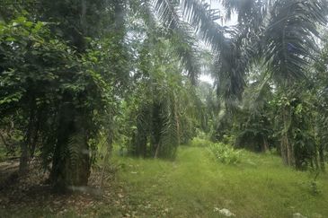 Telok Panglima Garang