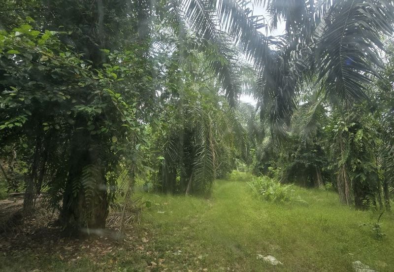 Telok Panglima Garang