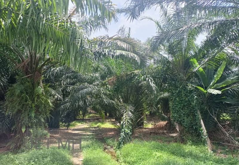 Telok Panglima Garang