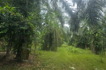 Telok Panglima Garang