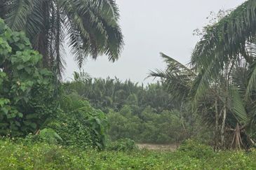 Telok Panglima Garang
