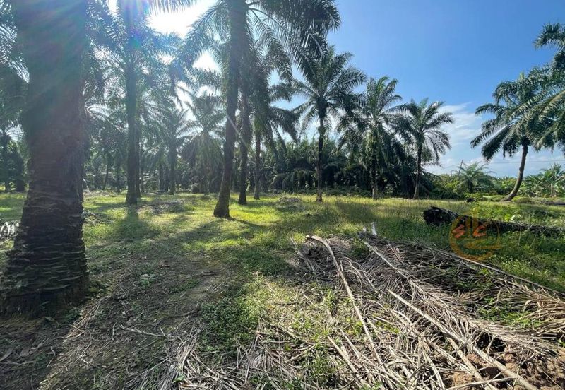 Bandar Mahkota Banting Agriculture Land 