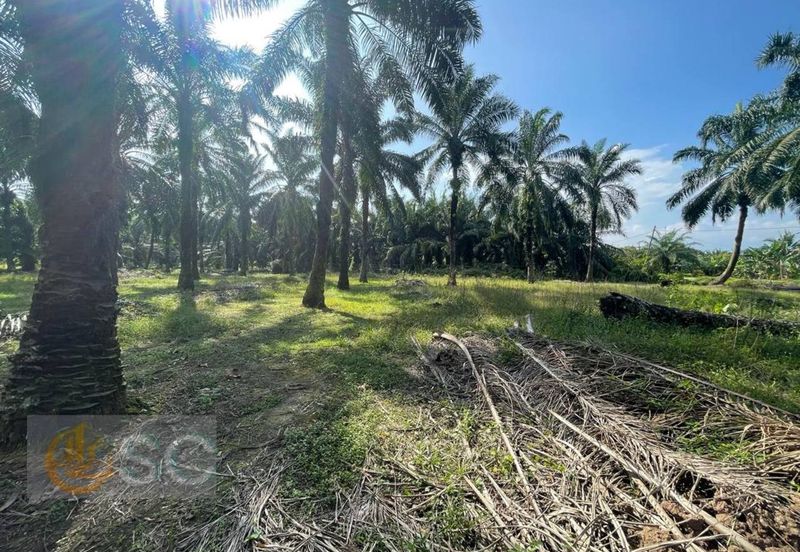 Banting Mahkota Agriculture Land 