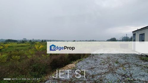 Pantai Morib Coconut Farm 31 Acres Commercial Land , Selangor, Banting