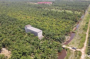 Kuala Selangor Agriculture Land With 3.5 Storey Bird Nest Building 