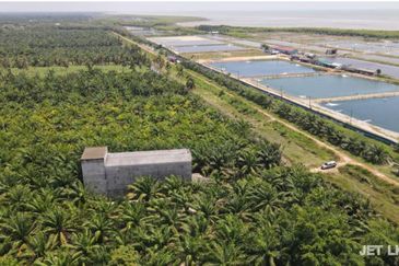 Kuala Selangor Agriculture Land With 3.5 Storey Bird Nest Building 