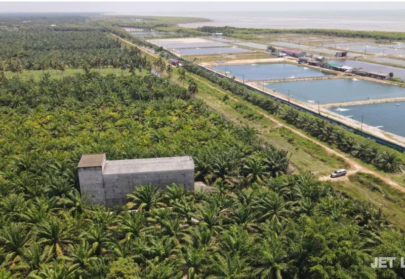 Kuala Selangor Agriculture Land With 3.5 Storey Bird Nest Building 