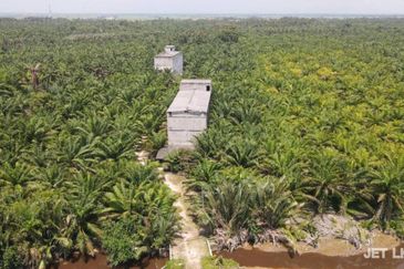 Kuala Selangor Agriculture Land With 3.5 Storey Bird Nest Building 