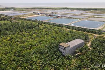Kuala Selangor Agriculture Land With 3.5 Storey Bird Nest Building 
