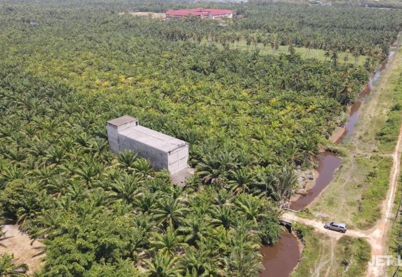 Kuala Selangor Agriculture Land With 3.5 Storey Bird Nest Building 