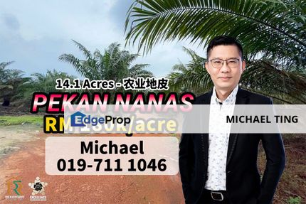 Pekan Nanas 14.1 Acres , Pontian , Johor, Johor, Pontian
