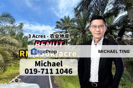 Benut Agriculture Land , Pontian , Johor, Johor, Pontian