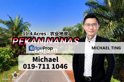 Pekan Nanas 11.4 Acres Agriculture Land , Johor, Johor, Pontian