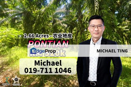 Pontian Agriculture Land , Pontian , Johor, Johor, Pontian