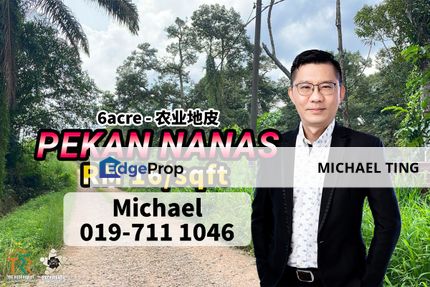 Pekan Nanas -  Land , Johor, Johor, Pontian