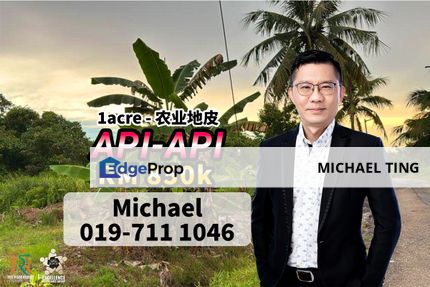 Api-Api Agriculture Land , Pontian , Johor, Johor, Pontian