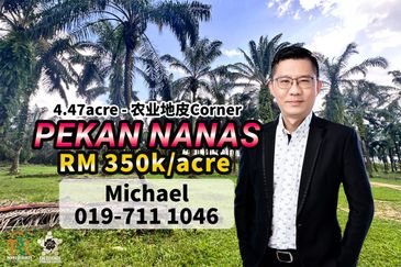 Pekan Nanas