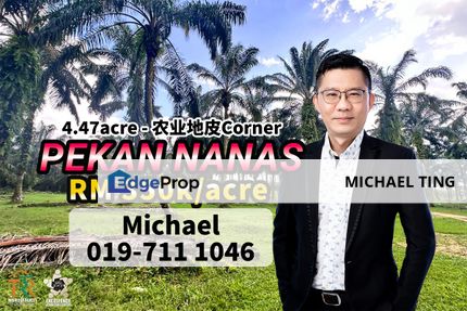 Pekan Nanas Agriculture Land , Johor, Johor, Pontian