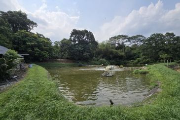 Taman Masai Utama