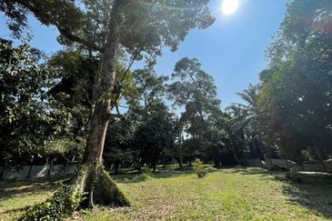 Rimba Terjun Pontian