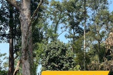 Rimba Terjun Pontian