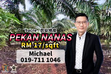 Pekan Nanas