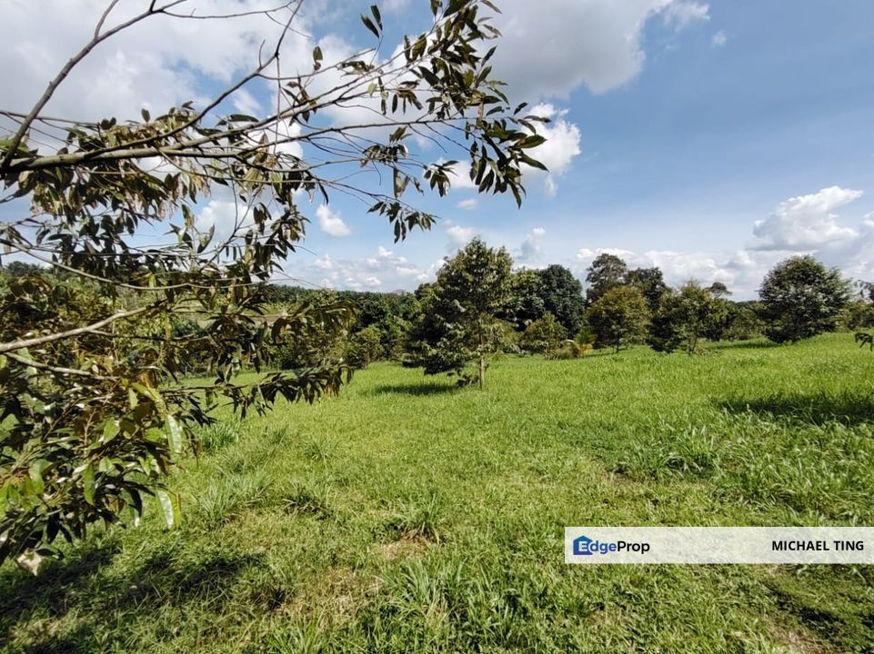 Sungai Tiram Agriculture Land For Sale, Johor, Ulu Tiram