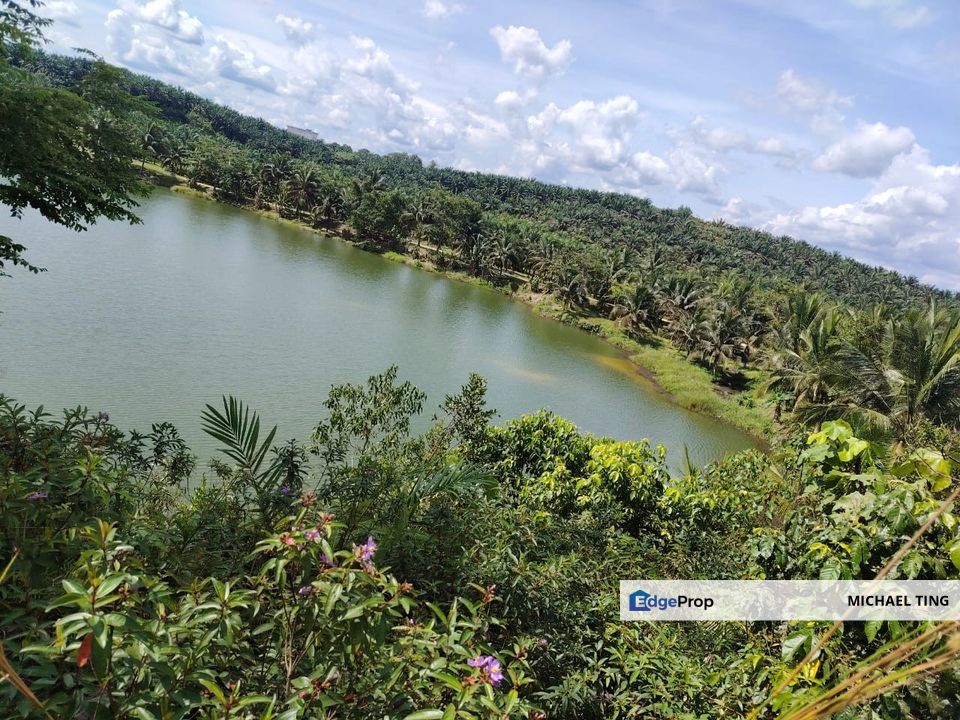 Sungai Tiram Agriculture Land For Sale, Johor, Ulu Tiram