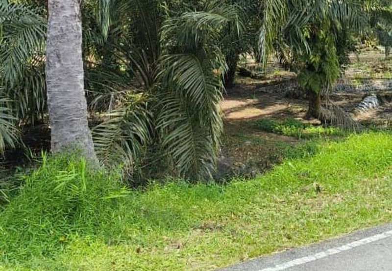 Rimba Terjun Pontian