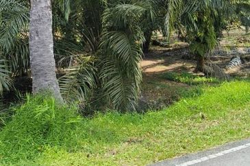 Rimba Terjun Pontian