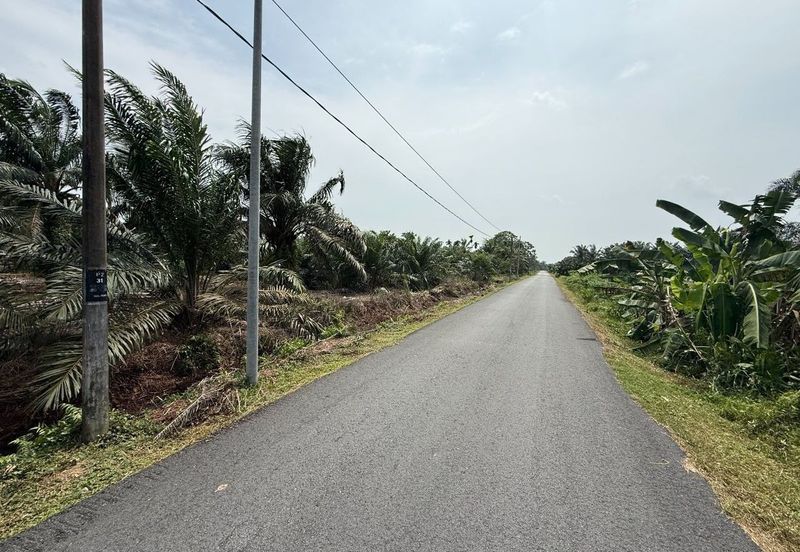Rimba Terjun Pontian