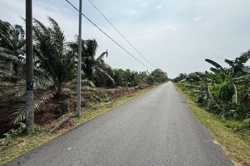 Rimba Terjun Pontian