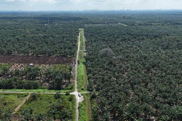Rimba Terjun Pontian