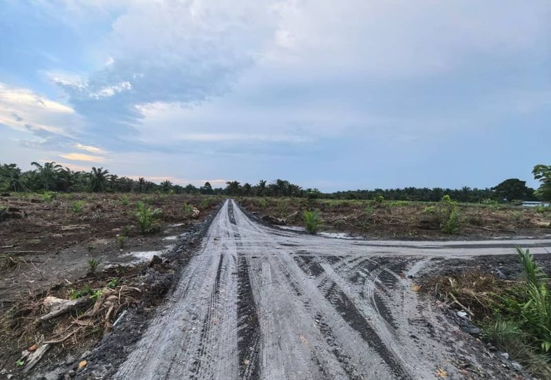 Rimba Terjun Pontian