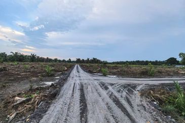 Rimba Terjun Pontian