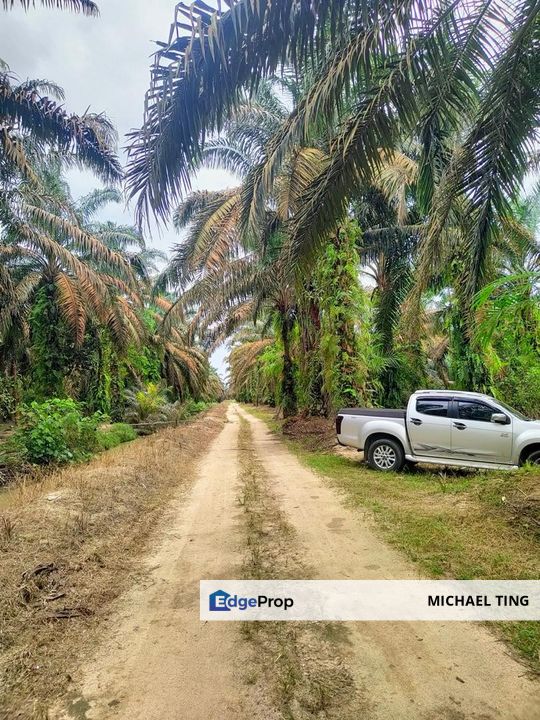 Layang-Layang Agriculture Land For Sale, Johor, Kulai