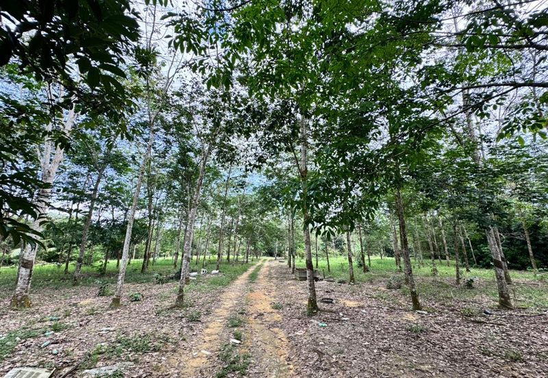 Taman Desa Cemerlang