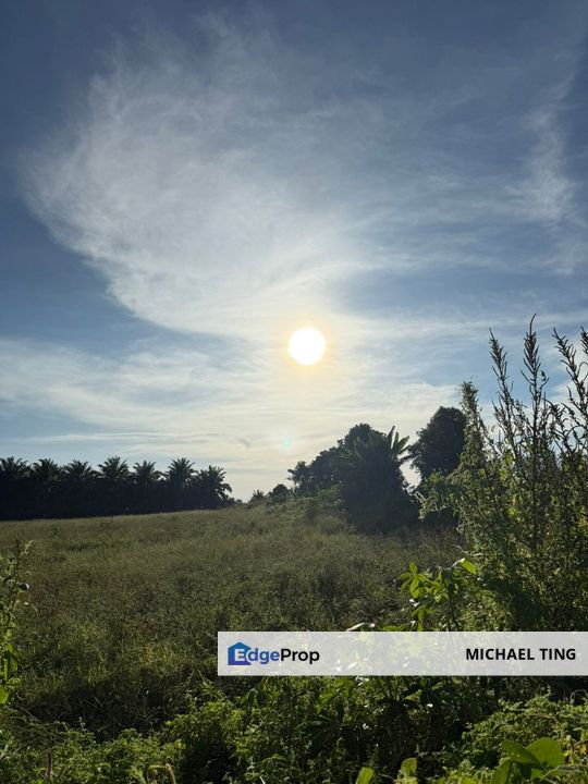 Layang-Layang Agricultural Land For Sale, Johor, Kulai