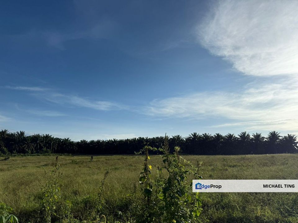 Layang-Layang Agricultural Land For Sale, Johor, Kulai