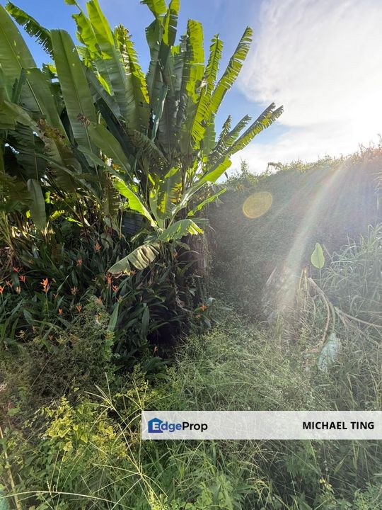 Layang-Layang Agricultural Land For Sale, Johor, Kulai