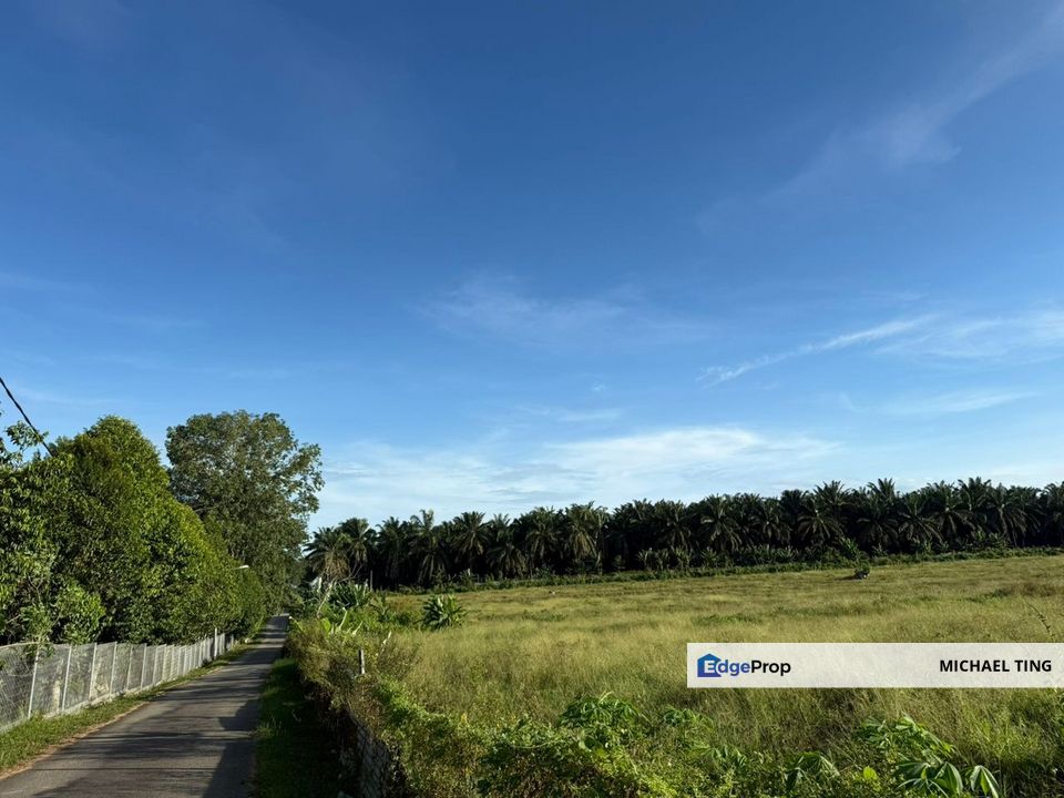 Layang-Layang Agricultural Land For Sale, Johor, Kulai