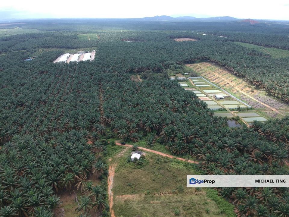 Layang-Layang Agricultural Land For Sale, Johor, Kulai