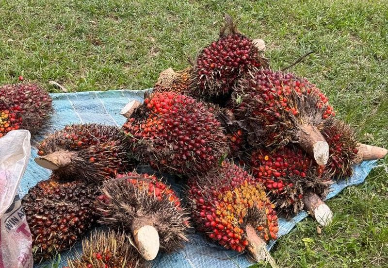 Bandar Baru Kangkar Pulai